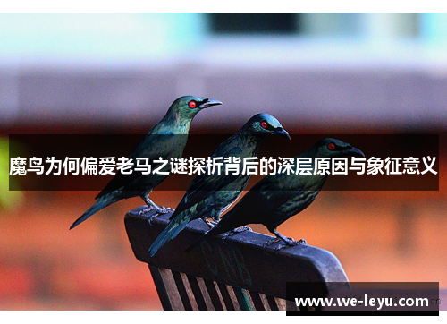魔鸟为何偏爱老马之谜探析背后的深层原因与象征意义 魔鸟为何偏爱老马之谜探析背后的深层原因与象征意义
