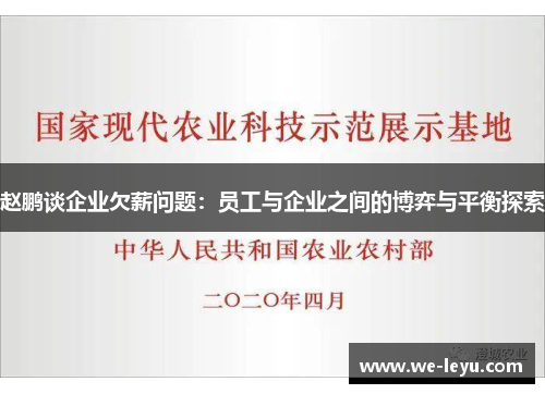 赵鹏谈企业欠薪问题：员工与企业之间的博弈与平衡探索